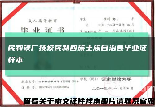 民和镁厂技校民和回族土族自治县毕业证样本缩略图