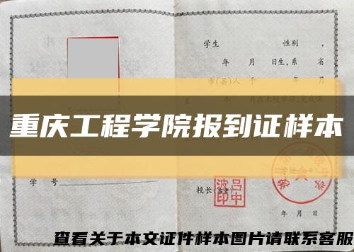 重庆工程学院报到证样本缩略图