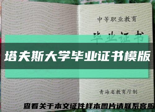 塔夫斯大学毕业证书模版缩略图