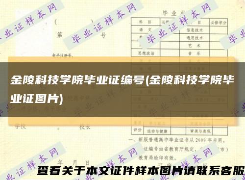 金陵科技学院毕业证编号(金陵科技学院毕业证图片)缩略图