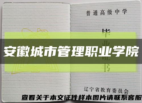 安徽城市管理职业学院缩略图