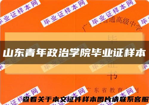 山东青年政治学院毕业证样本缩略图