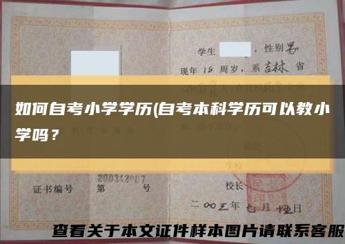 如何自考小学学历(自考本科学历可以教小学吗？缩略图