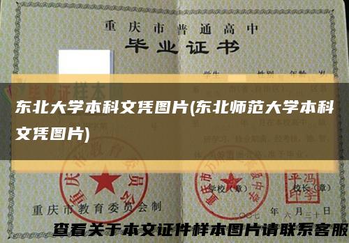 东北大学本科文凭图片(东北师范大学本科文凭图片)缩略图