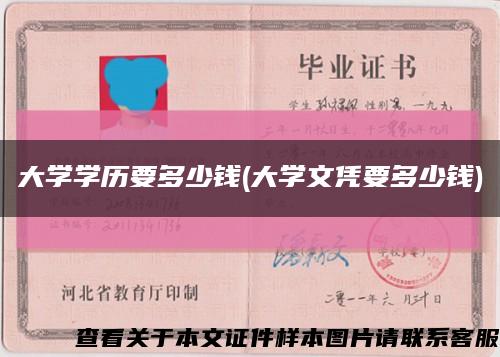 大学学历要多少钱(大学文凭要多少钱)缩略图