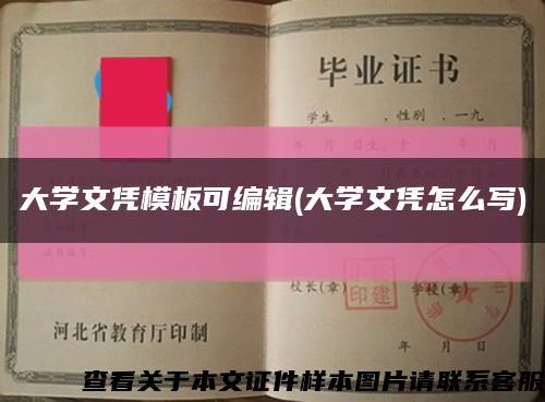 大学文凭模板可编辑(大学文凭怎么写)缩略图