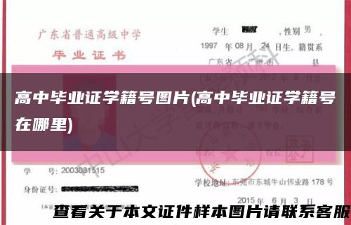 高中毕业证学籍号图片(高中毕业证学籍号在哪里)缩略图