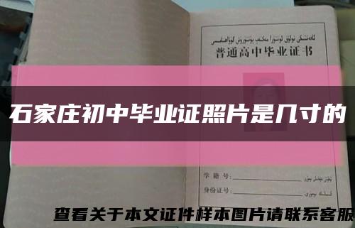 石家庄初中毕业证照片是几寸的缩略图