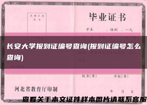 长安大学报到证编号查询(报到证编号怎么查询)缩略图