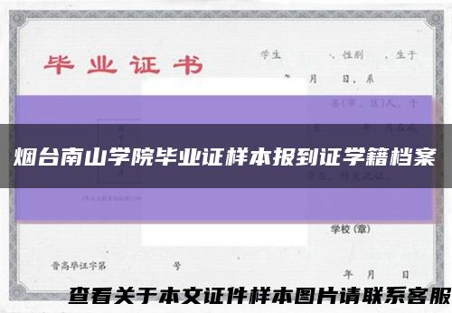 烟台南山学院毕业证样本报到证学籍档案缩略图