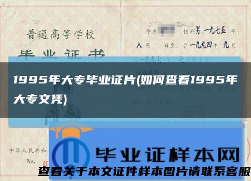 1995年大专毕业证片(如何查看1995年大专文凭)缩略图