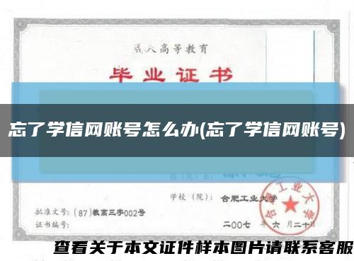 忘了学信网账号怎么办(忘了学信网账号)缩略图