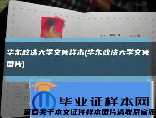 华东政法大学文凭样本(华东政法大学文凭图片)缩略图