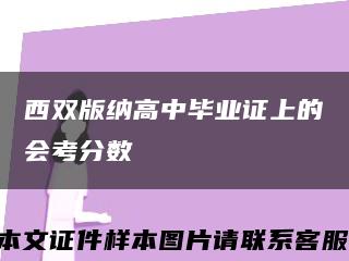 西双版纳高中毕业证上的会考分数缩略图