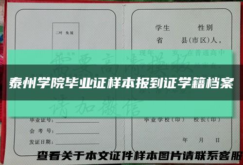 泰州学院毕业证样本报到证学籍档案缩略图