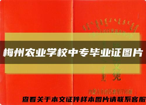 梅州农业学校中专毕业证图片缩略图