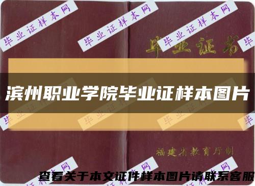 滨州职业学院毕业证样本图片缩略图