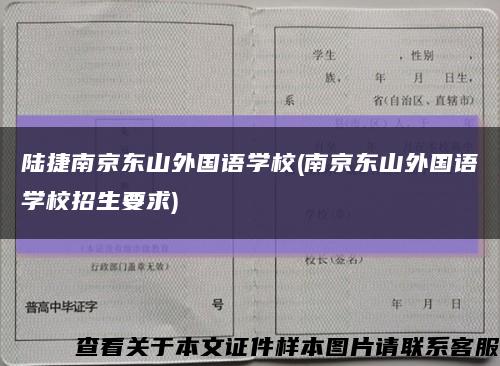 陆捷南京东山外国语学校(南京东山外国语学校招生要求)缩略图