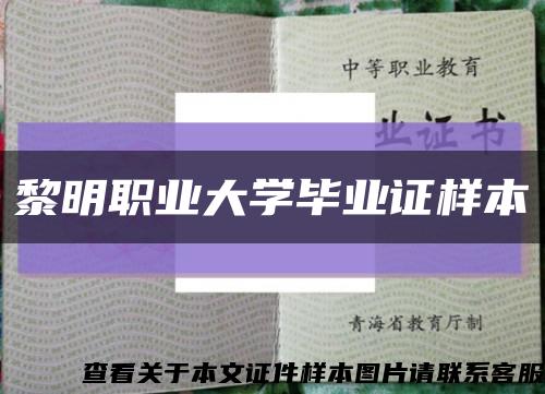 黎明职业大学毕业证样本缩略图