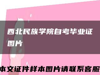 西北民族学院自考毕业证图片缩略图