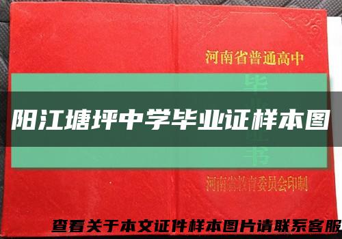 阳江塘坪中学毕业证样本图缩略图