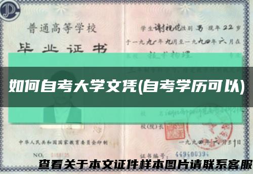 如何自考大学文凭(自考学历可以)缩略图