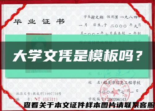 大学文凭是模板吗？缩略图