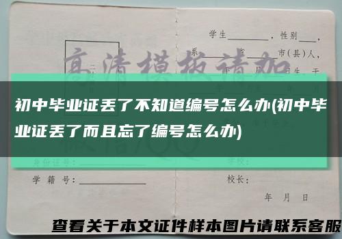 初中毕业证丢了不知道编号怎么办(初中毕业证丢了而且忘了编号怎么办)缩略图