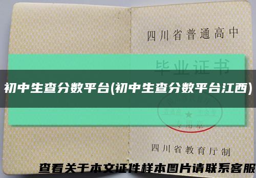 初中生查分数平台(初中生查分数平台江西)缩略图