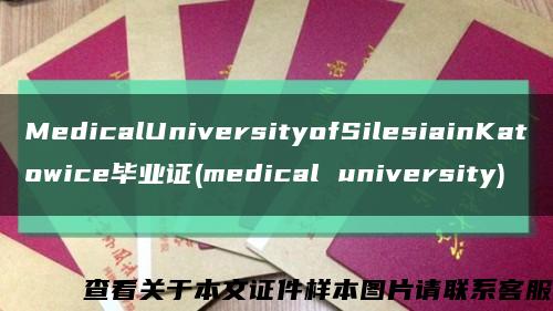 MedicalUniversityofSilesiainKatowice毕业证(medical university)缩略图