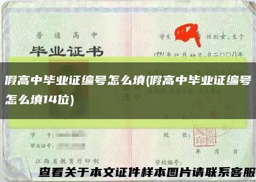 假高中毕业证编号怎么填(假高中毕业证编号怎么填14位)缩略图