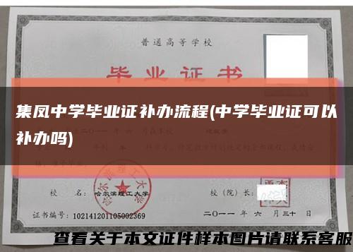 集凤中学毕业证补办流程(中学毕业证可以补办吗)缩略图