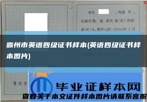 霸州市英语四级证书样本(英语四级证书样本图片)缩略图