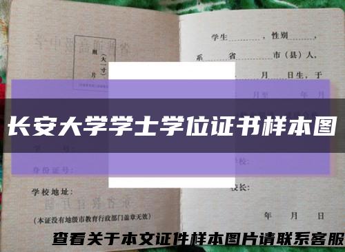 长安大学学士学位证书样本图缩略图