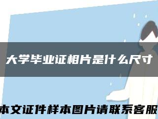 大学毕业证相片是什么尺寸缩略图