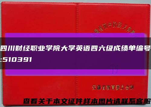 四川财经职业学院大学英语四六级成绩单编号:510391缩略图