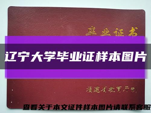 辽宁大学毕业证样本图片缩略图