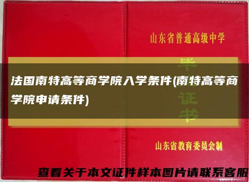 法国南特高等商学院入学条件(南特高等商学院申请条件)缩略图