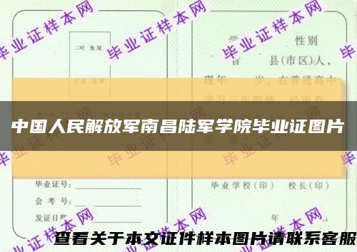 中国人民解放军南昌陆军学院毕业证图片缩略图