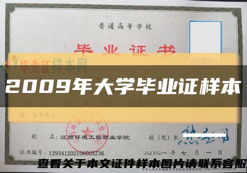 2009年大学毕业证样本缩略图