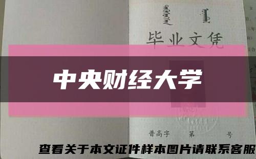 中央财经大学缩略图