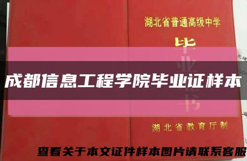 成都信息工程学院毕业证样本缩略图