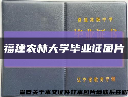 福建农林大学毕业证图片缩略图