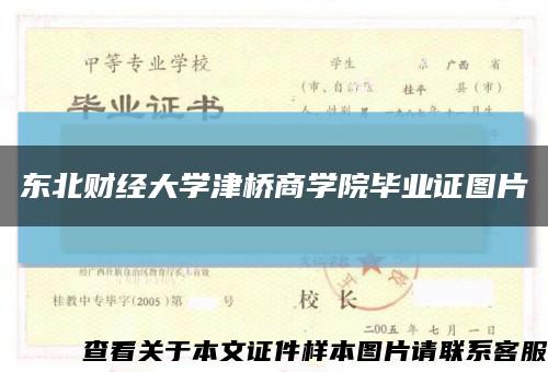 东北财经大学津桥商学院毕业证图片缩略图