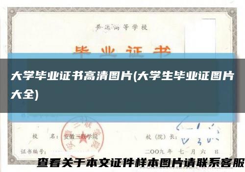 大学毕业证书高清图片(大学生毕业证图片大全)缩略图