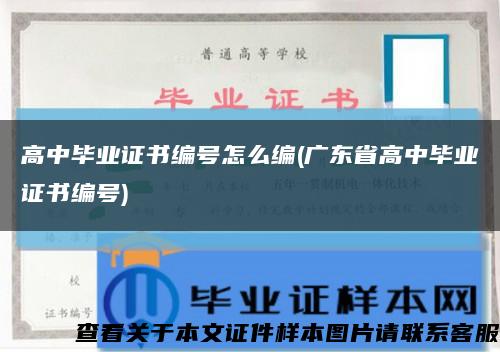 高中毕业证书编号怎么编(广东省高中毕业证书编号)缩略图