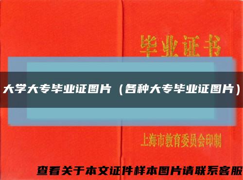 大学大专毕业证图片（各种大专毕业证图片）缩略图