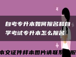 自考专升本如何报名和自学考试专升本怎么报名缩略图