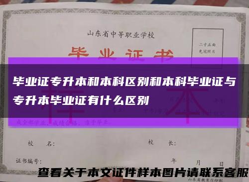 毕业证专升本和本科区别和本科毕业证与专升本毕业证有什么区别缩略图