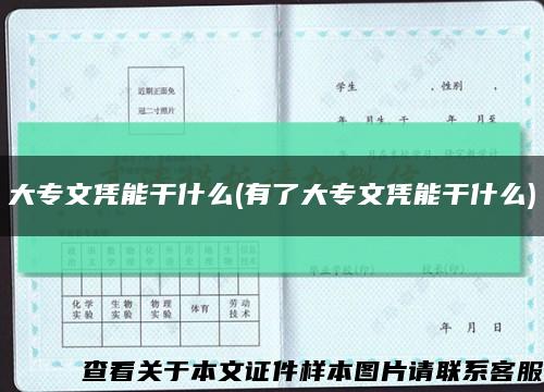 大专文凭能干什么(有了大专文凭能干什么)缩略图